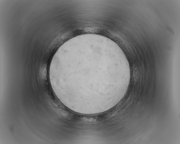 X0000111230502200908131125