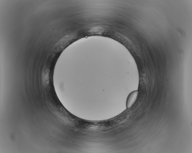 X0000111230504200908131125