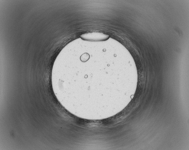 X0000111230505200908131125