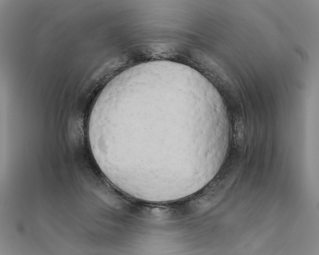 X0000111230506200908131125
