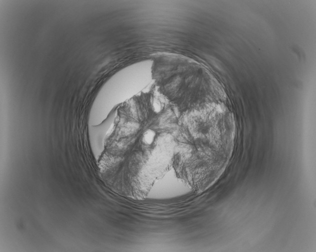 X0000111230507200908131125