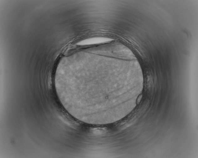 X0000111230508200908131125