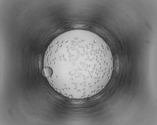 X0000111230510200908131125