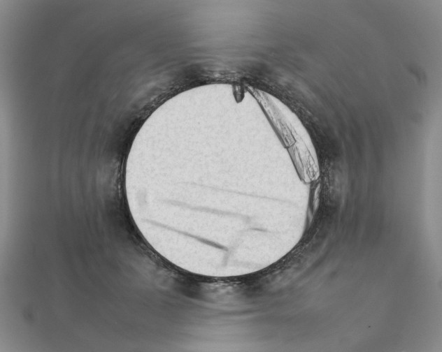 X0000111230511200908131125