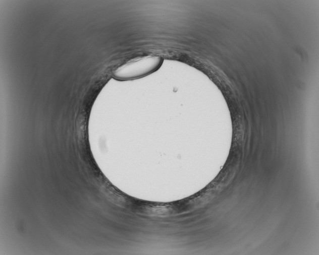 X0000111230513200908131125
