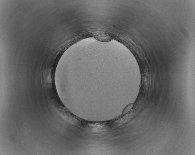 X0000111230516200908131125