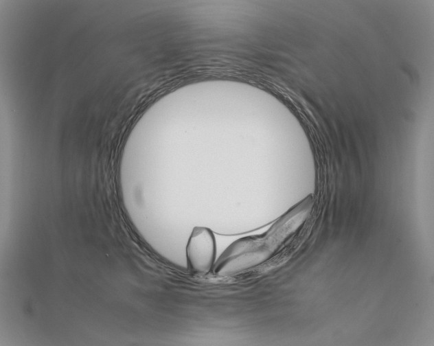 X0000111230517200908131125