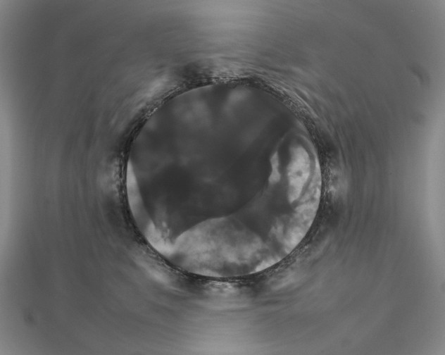 X0000111230519200908131125
