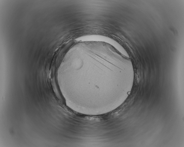 X0000111230520200908131125