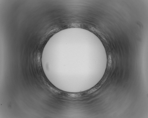 X0000111230522200908131125