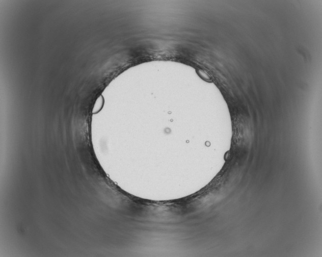 X0000111230523200908131125