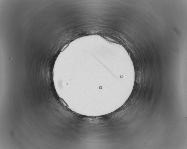 X0000111230524200908131125