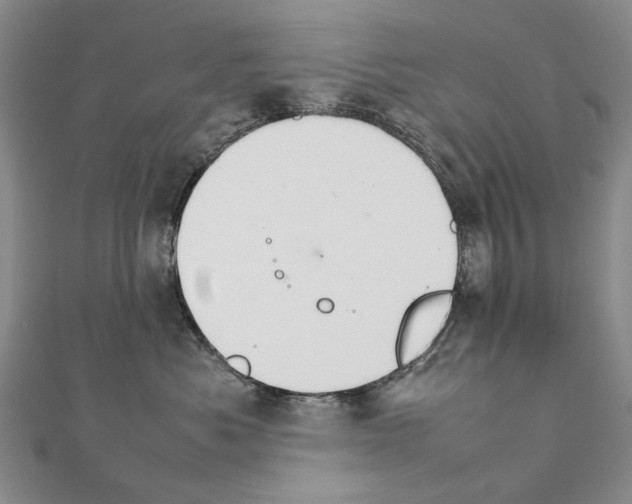 X0000111230525200908131125