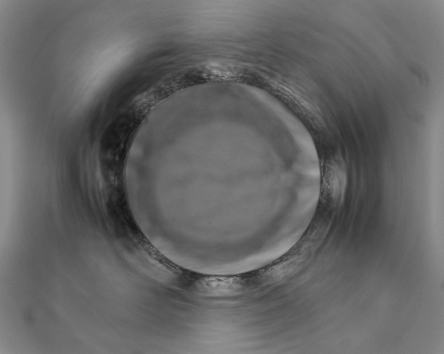 X0000111230526200908131125