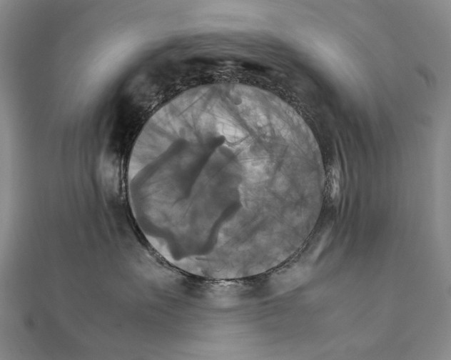 X0000111230527200908131125