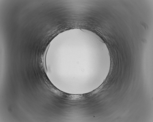 X0000111230528200908131125