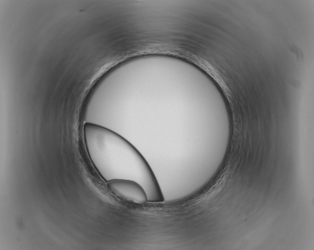 X0000111230530200908131124