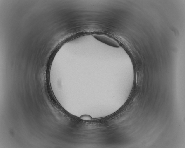 X0000111230531200908131124
