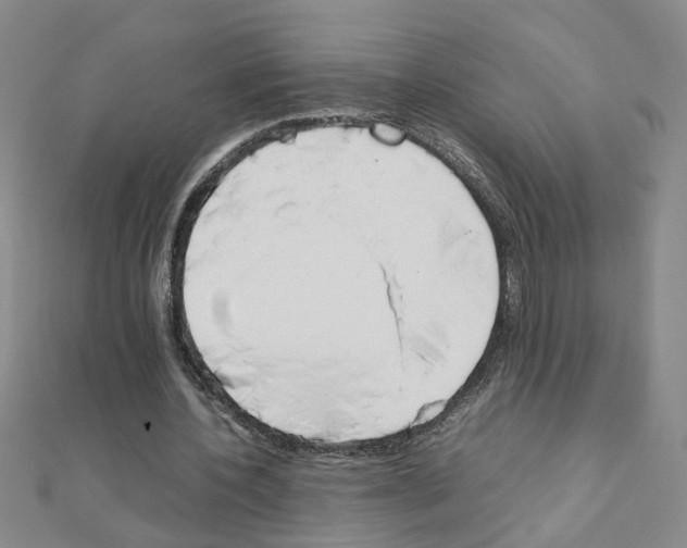X0000111230532200908131124