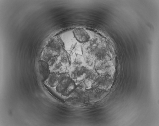 X0000111230533200908131124