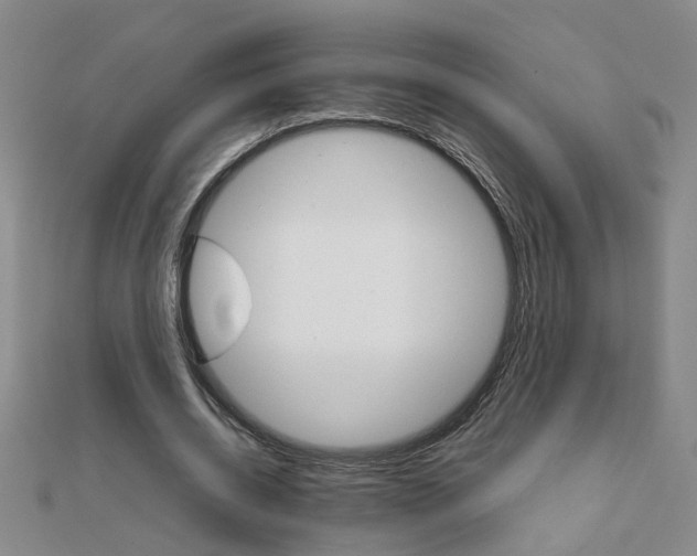 X0000111230534200908131124