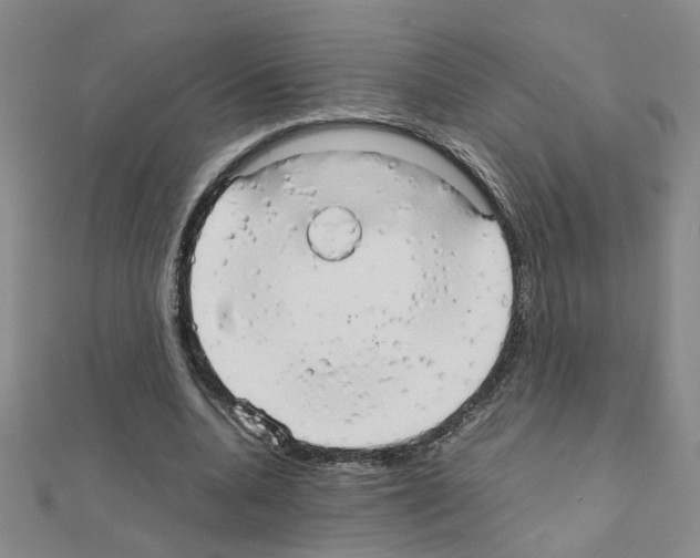 X0000111230536200908131125