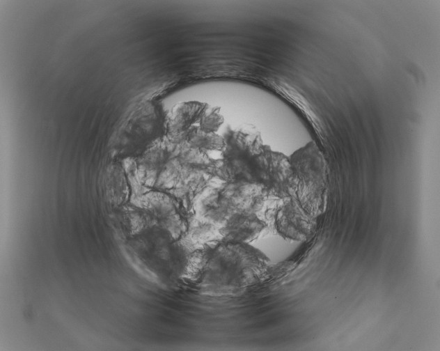 X0000111230537200908131125