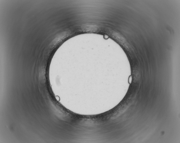 X0000111230538200908131125