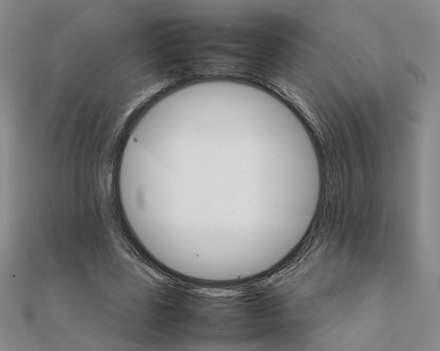 X0000111230539200908131125