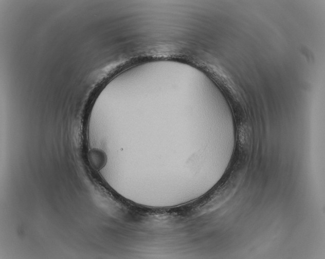 X0000111230540200908131125