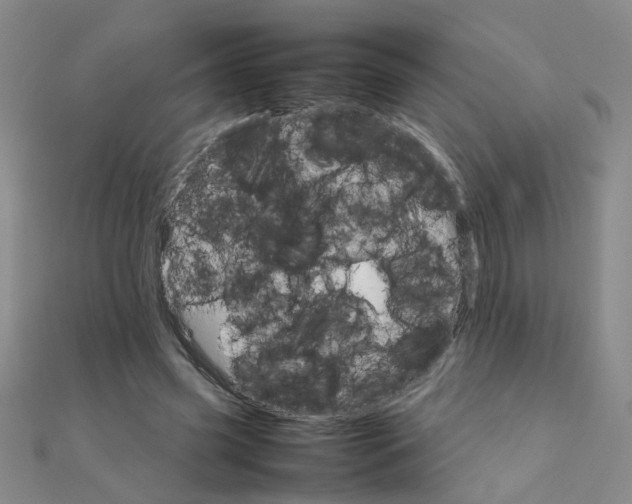 X0000111230541200908131125