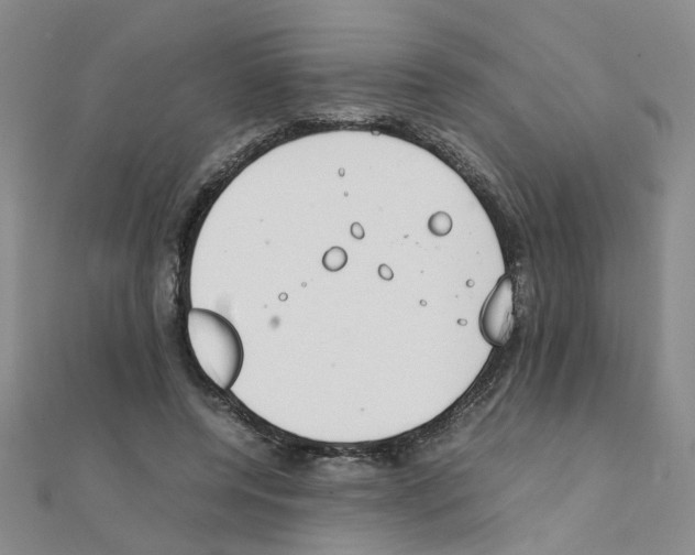 X0000111230544200908131125