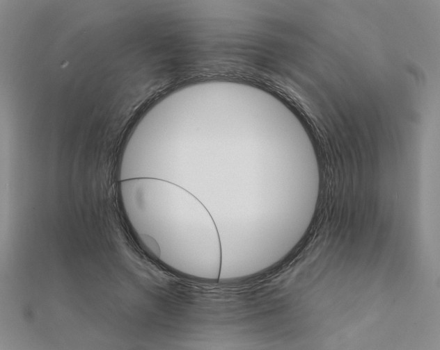 X0000111230546200908131125