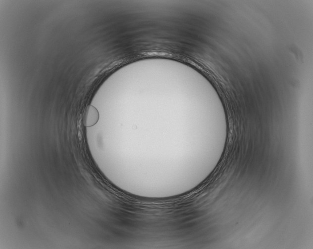 X0000111230547200908131125