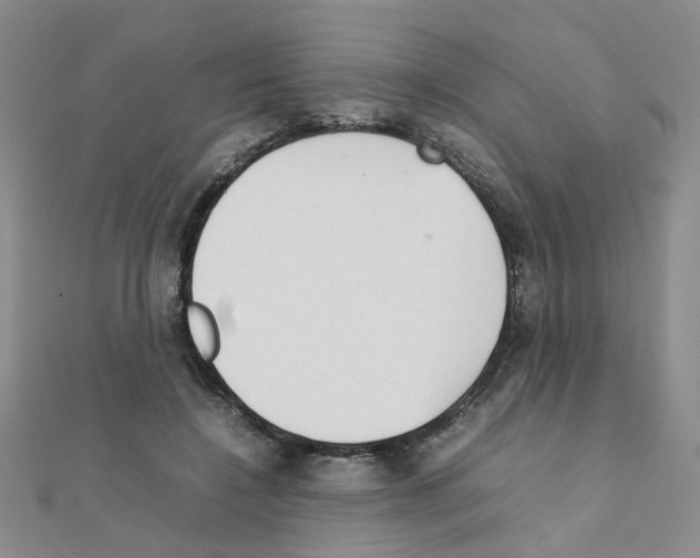 X0000111230548200908131125