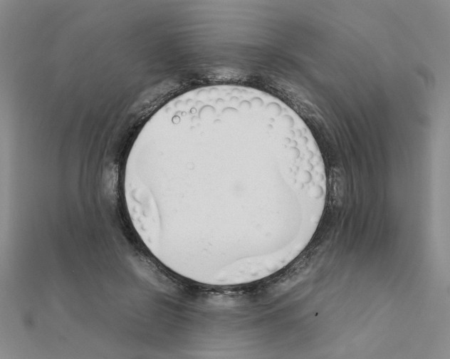 X0000111230550200908131125