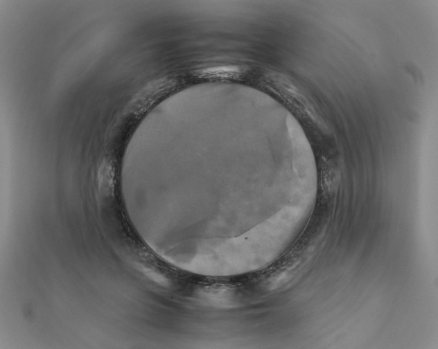 X0000111230551200908131125