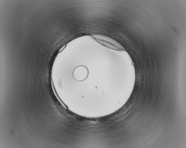 X0000111230552200908131125