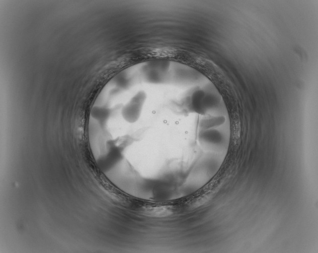 X0000111230553200908131125