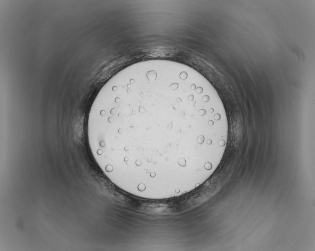 X0000111230554200908131125