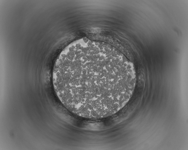 X0000111230555200908131125