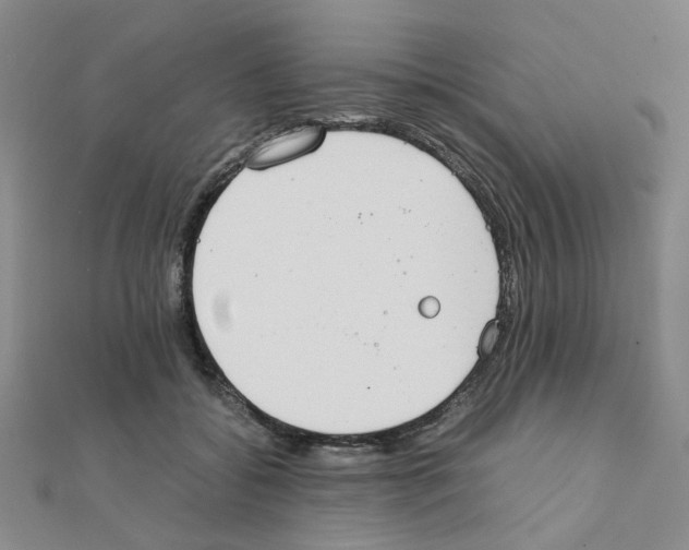 X0000111230556200908131125