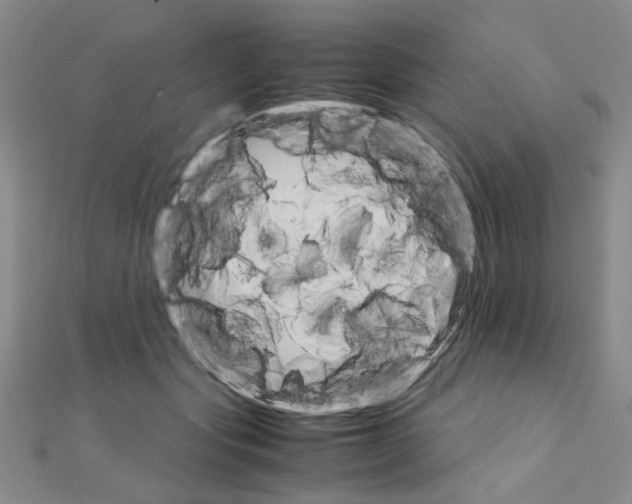 X0000111230557200908131125