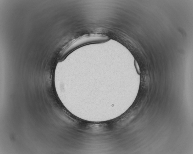 X0000111230558200908131125