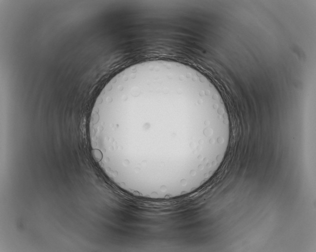 X0000111230559200908131125