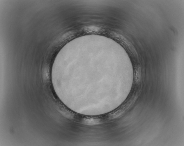 X0000111230561200908131125