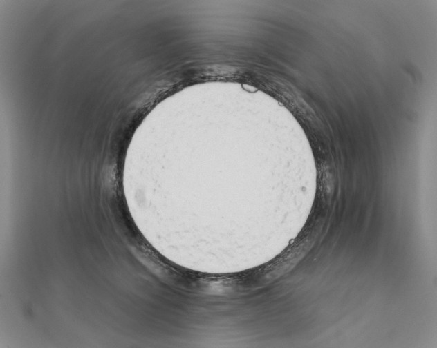 X0000111230564200908131125