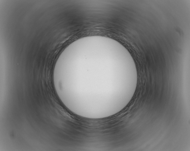 X0000111230566200908131125