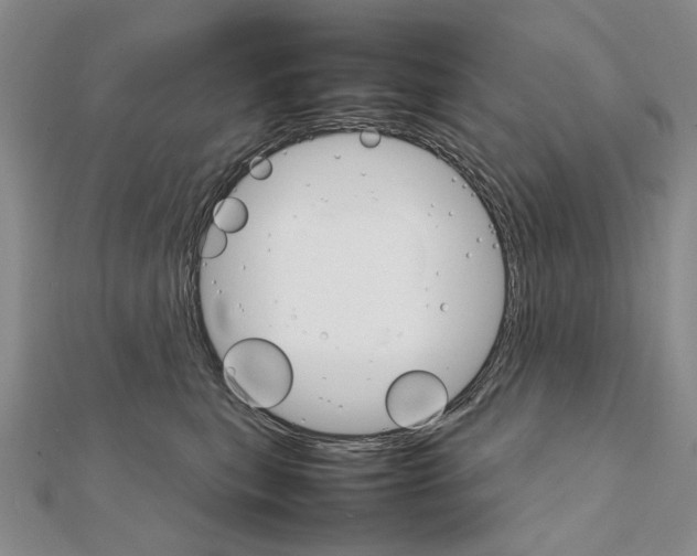 X0000111230567200908131125