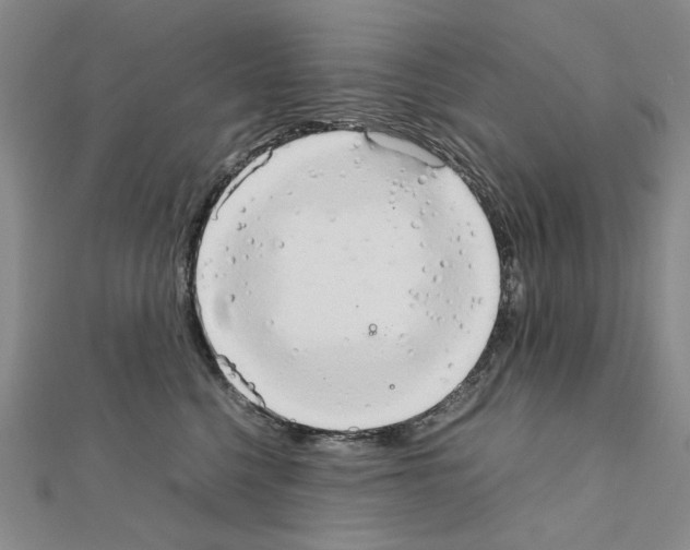 X0000111230568200908131125
